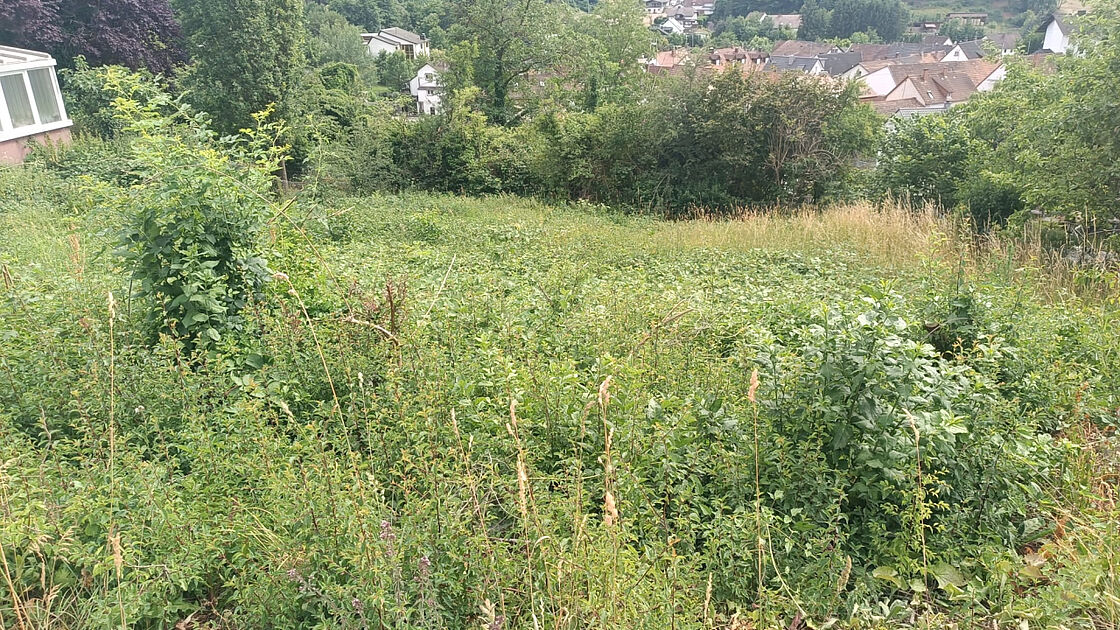 OKAL Schöner Südhang-Bauplatz mit herrlichem Ausblick Bild 1