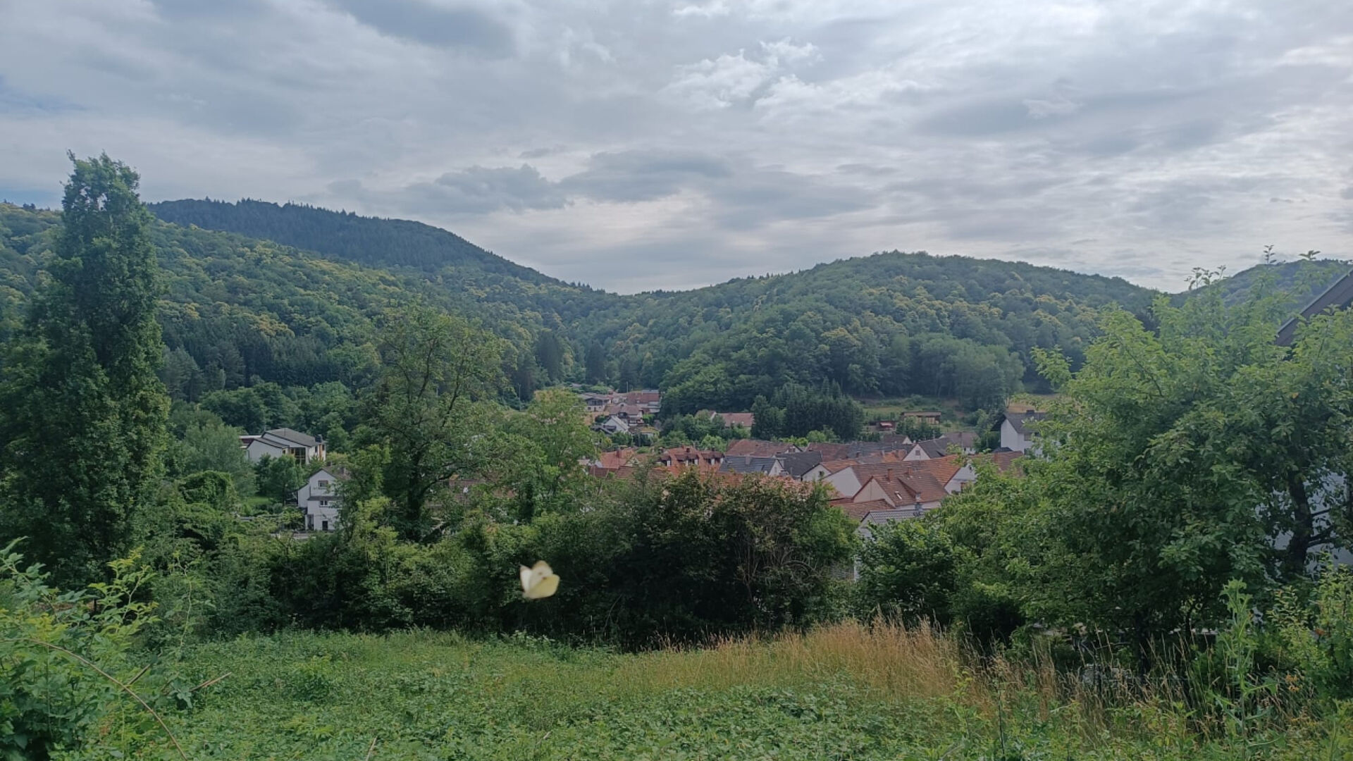 OKAL Schöner Südhang-Bauplatz mit herrlichem Ausblick Bild 0